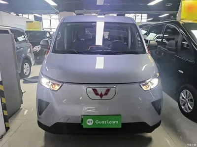 2024 Wuling Motors Wuling Yangguang 300KM Comfort Bus Version 75kW, фото 3, лот 11167252