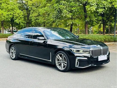 2019 BMW 7 Series 730Li M Sport Package, фото 1, лот 10442611