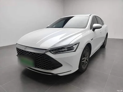 2023 BYD Qin PLUS Champion Edition DM-i 55KM Surpassing, фото 2, лот 11549212