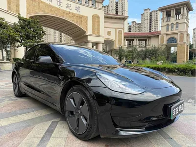 2023 Tesla Model 3 Rear-Wheel Drive, фото 3, лот 10366581