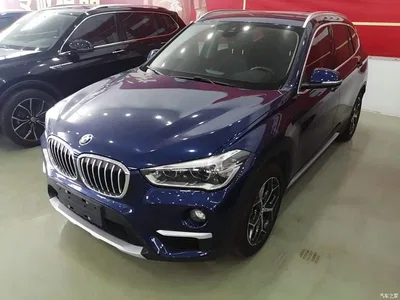 2019 BMW X1 xDrive20Li Luxury Model, фото 2, лот 10471214