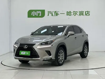 2020 Lexus NX 200 FWD Sharp Edition China VI, фото 1, лот 10312668