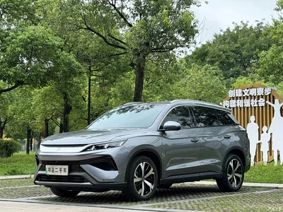 2025 BYD Song Pro New Energy 2nd Gen DM-i 115KM Excellence, фото 1, лот 10275738