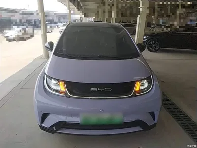 2023 BYD Dolphin 420km Fashion Edition, фото 3, лот 11089632