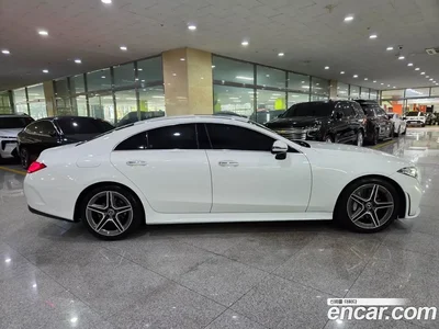 2019 Mercedes-Benz CLS-Class CLS300d AMG Line, фото 4, лот 10048922