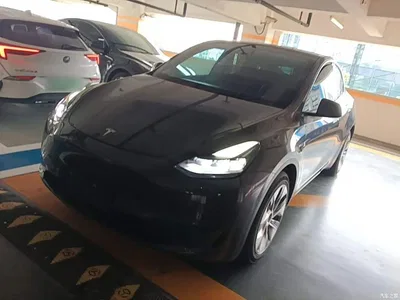 2021 Tesla Model Y Model Long Range AWD, фото 1, лот 10370422