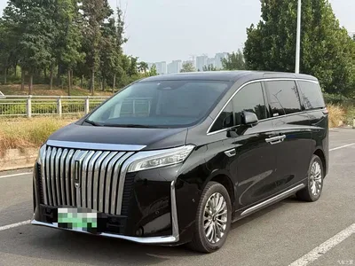 2023 WEY Alpine AWD Flagship, фото 1, лот 11139529