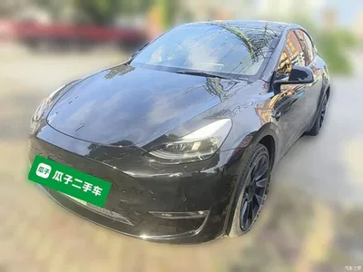 2022 Tesla Model Y Long Range AWD, фото 1, лот 10374124