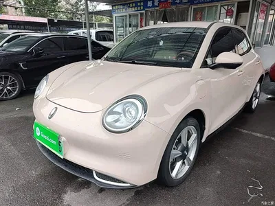 2022 Ora Good Cat Morandi Edition 400km Standard Range 2nd Anniversary Youth Edition LFP, фото 1, лот 11241813