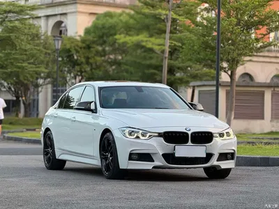 2018 BMW 3 Series 320Li Leading M Sport Package, фото 3, лот 11534107
