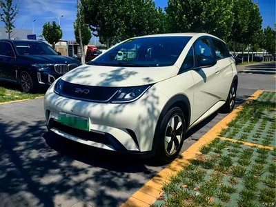 2025 Byd Dolphin, фото 1, лот 10248757