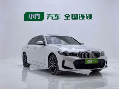 2023 BMW 3 Series 320Li M Sport Package, фото 3, лот 11200513