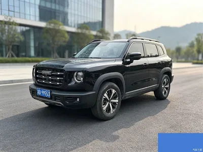 2021 Haval Big Dog 1.5T DCT 2WD Border Collie Edition, фото 1, лот 11199578