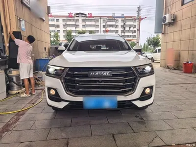 2021 Haval H6 Model National Trend Edition 1.5T Auto Champion, фото 3, лот 10285486