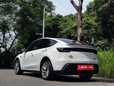 2025 Tesla Model Y Rear-Wheel Drive, фото 3, лот 10625686