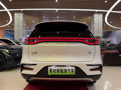 2023 Byd Tang, фото 4, лот 10248481