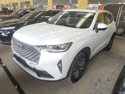 2022 Haval H6 3rd Gen 1.5T Auto 2WD Pro, фото 2, лот 11215733