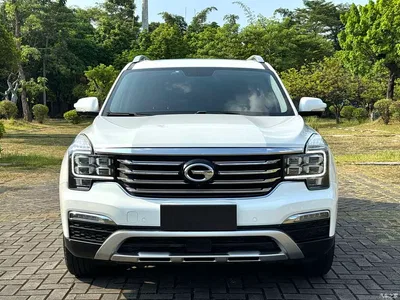2017 GAC Trumpchi Trumpchi GS8 320T 2WD Luxury Smart Connect (7-seater), фото 3, лот 11348051