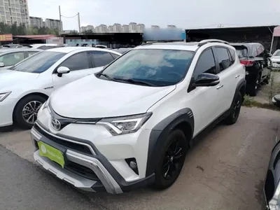 2019 Toyota RAV4 Rongfang 2.0L CVT 2WD Trend X Limited Edition China V, фото 1, лот 10323294