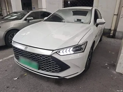 2023 BYD Qin PLUS Champion Edition DM-i 55KM Leading, фото 2, лот 11081423