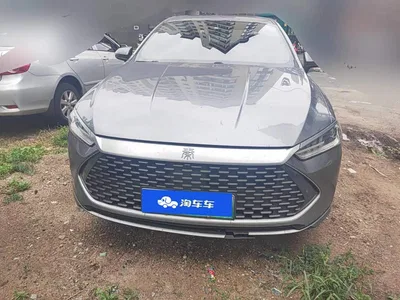 2023 BYD Qin PLUS Champion Edition DM-i 120KM Leading Type, фото 2, лот 10363592