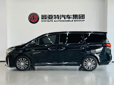 2021 GAC Trumpchi Trumpchi M8 Leading Series 390T Flagship, фото 3, лот 10416045