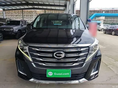 2020 GAC Trumpchi Trumpchi M8 Pilot 390T Premium Edition, фото 3, лот 10421799