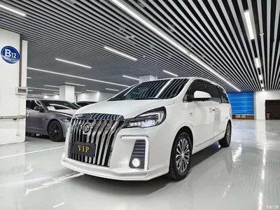 2021 Buick GL8 Land Business Class 652T Luxury, фото 1, лот 10252787