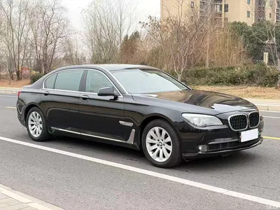 2009 BMW 7 Series 740Li Luxury, фото 2, лот 10458935