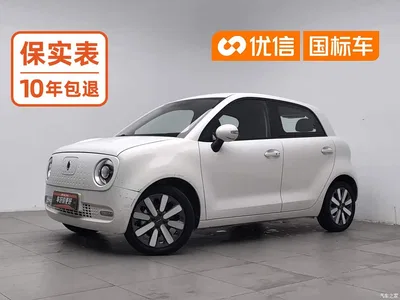 2021 Ora Black Cat 351km Standard Model, фото 1, лот 10768143