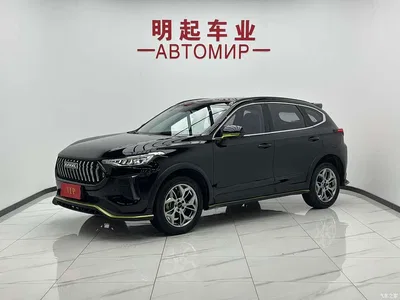 2022 Haval Chitu Power Edition 1.5T Purple Copper Rabbit, фото 1, лот 10298000