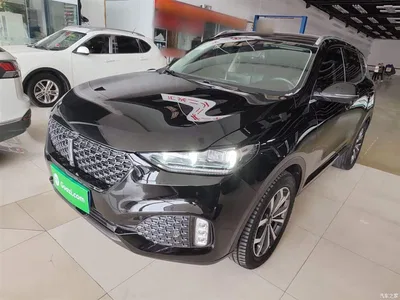 2020 WEY VV6 2.0T 2WD Smart Protection+, фото 2, лот 10452477