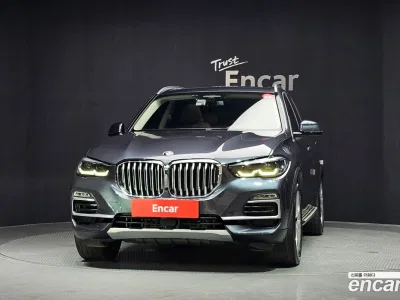 2019 BMW X5 xDrive 30d xLine, фото 3, лот 10075397