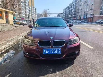 2010 BMW 3 Series (Import) 320i Luxury, фото 3, лот 10473227