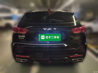 2020 WEY VV7 Model 2.0T Flagship, фото 3, лот 11189128