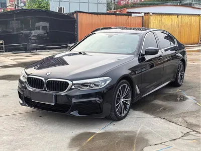 2020 BMW 5 Series 530Li Exclusive M Sport Package, фото 1, лот 11136371