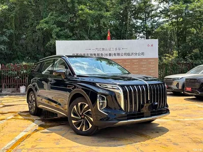 2024 Hongqi HS7 PHEV 2.0T PHEV AWD Flagship 6-Seater, фото 4, лот 10289006
