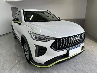 2022 Haval Chitu Power Edition 1.5T Brass Rabbit, фото 2, лот 10434890