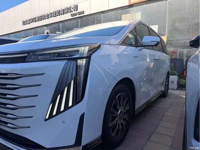 2023 GAC Trumpchi Trumpchi E9 E9 MAX, фото 2, лот 11570337