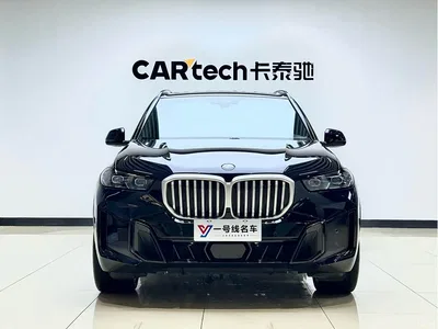 2023 BMW X5 xDrive 40Li M Sport Black Night Package, фото 1, лот 10444335