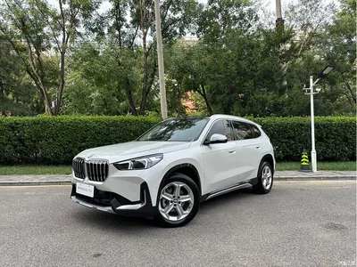 2023 BMW X1 sDrive20Li X Design Package, фото 1, лот 11204484