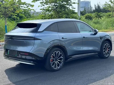 2025 ZEEKR 7X Model 75kWh RWD Smart Driving Edition, фото 4, лот 10427787