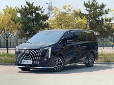 2024 GAC Trumpchi Trumpchi M8 Master Series 400T Premium Edition, фото 1, лот 10449042