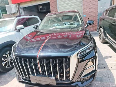 2023 Hongqi HS5 2.0T Flag Joy Pro Edition, фото 2, лот 10288470