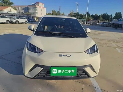2024 BYD Seagull Glory Edition 305km Vitality Edition, фото 3, лот 11385851
