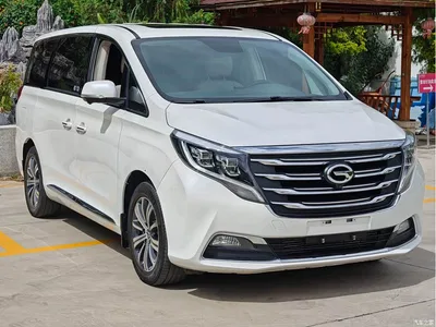 2019 GAC Trumpchi Trumpchi M8 320T Ultimate Edition, фото 3, лот 10416905