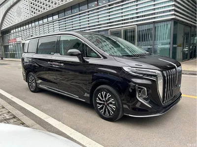 2024 Hongqi HQ9 PHEV Model 2.0T AWD Business Edition, фото 3, лот 10287854