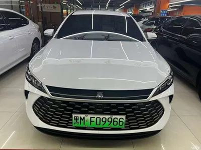 2025 BYD Qin PLUS DM-i Smart Drive 55KM Leader, фото 2, лот 10363037