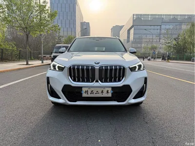 2023 BMW X1 sDrive25Li M Sport Package, фото 2, лот 10466612