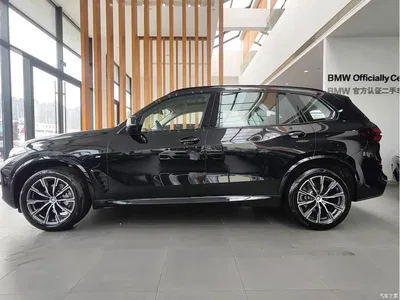 2025 BMW X5 Model xDrive 30Li M Sport Blackout Package, фото 3, лот 10428290